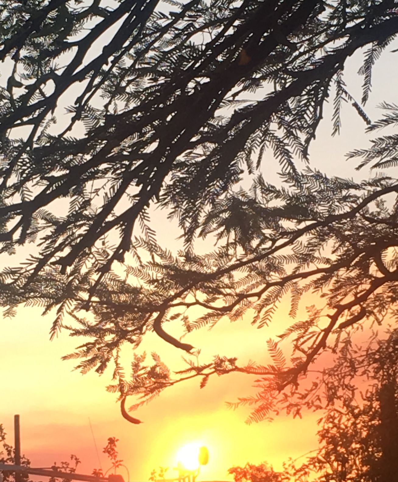 Father's Day Sunset 2017